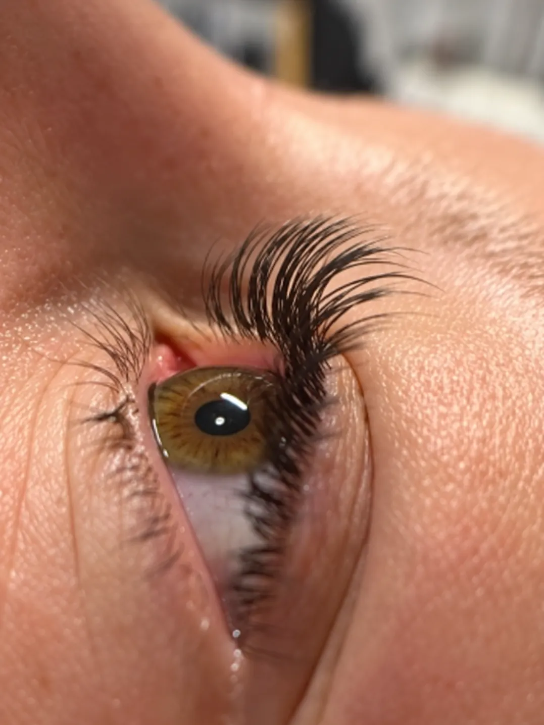 Œil noisette vu de profil, cils noirs recourbés