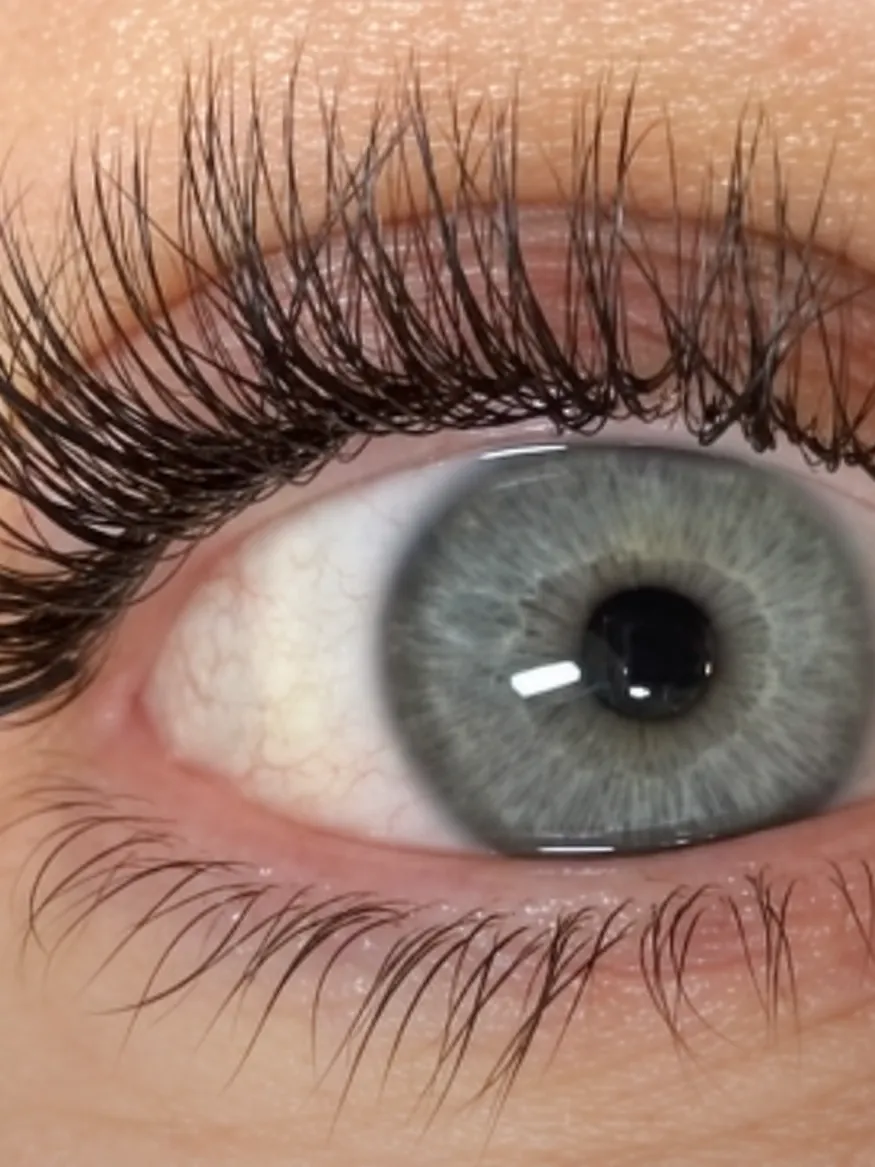 Œil gris-bleu en gros plan, frange de cils noirs fournie