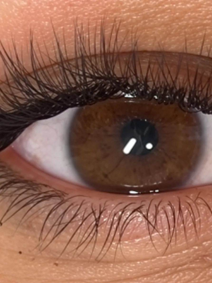 Œil brun en gros plan, cils noirs longs et denses
